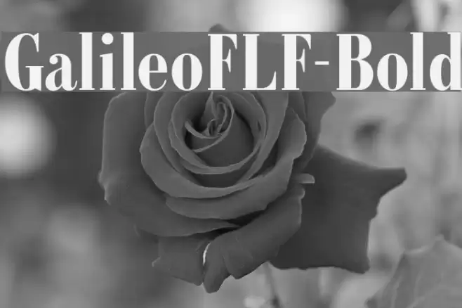 GalileoFLF-Bold Font examples