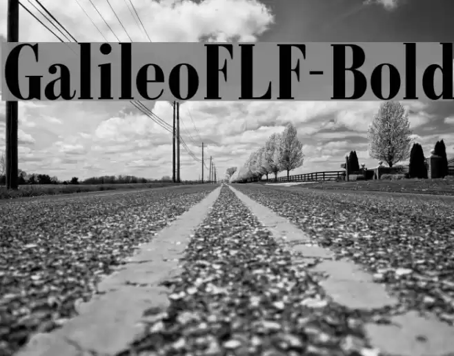 GalileoFLF-Bold Font examples