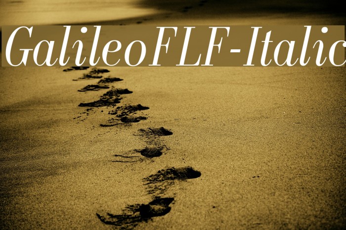 GalileoFLF-Italic Font examples