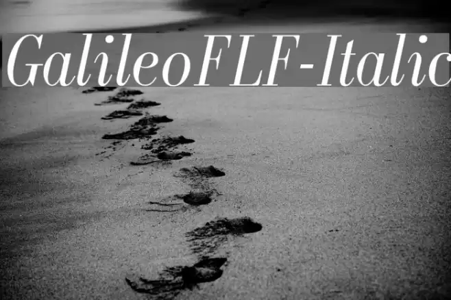 GalileoFLF-Italic Font examples