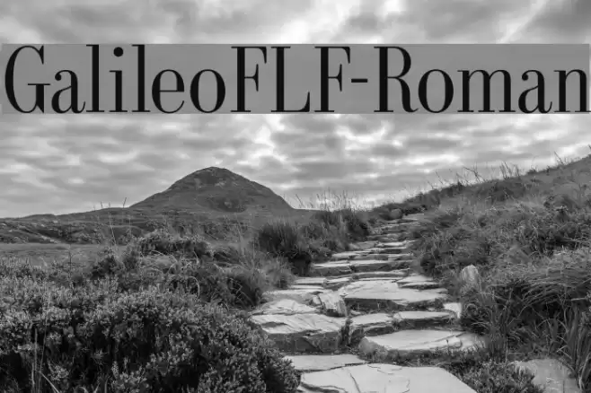 GalileoFLF-Roman Font examples