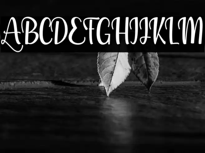 Galileo Font examples