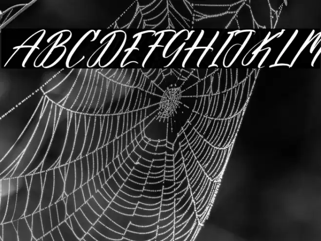 Galimunte Pogteria DEMO VERSION Italic फ़ॉन्ट examples