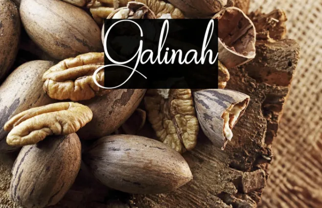 Galinah Example 3
