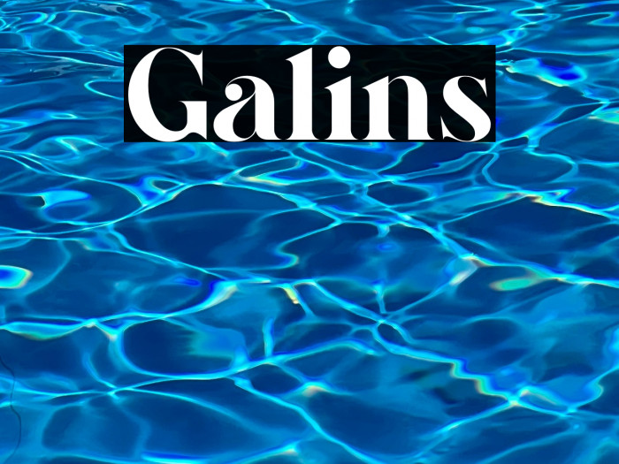 Galins Example 2