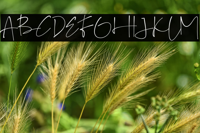 GalintaSignature-free Example 1