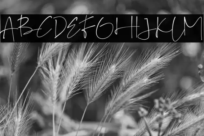 GalintaSignature-free Font examples