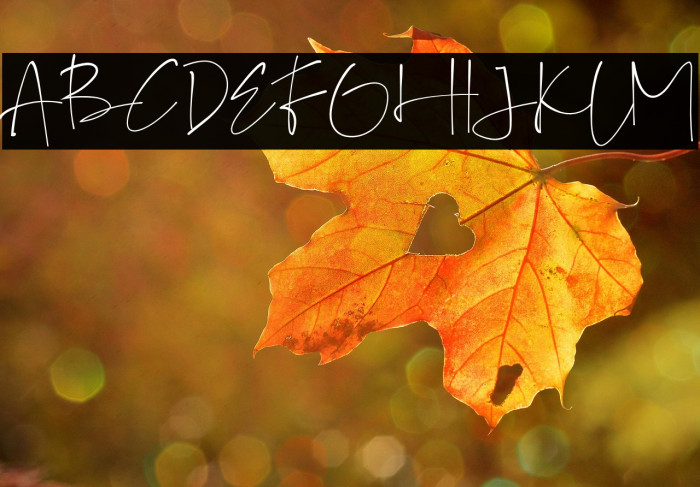 GalintaSignature-free Example 2