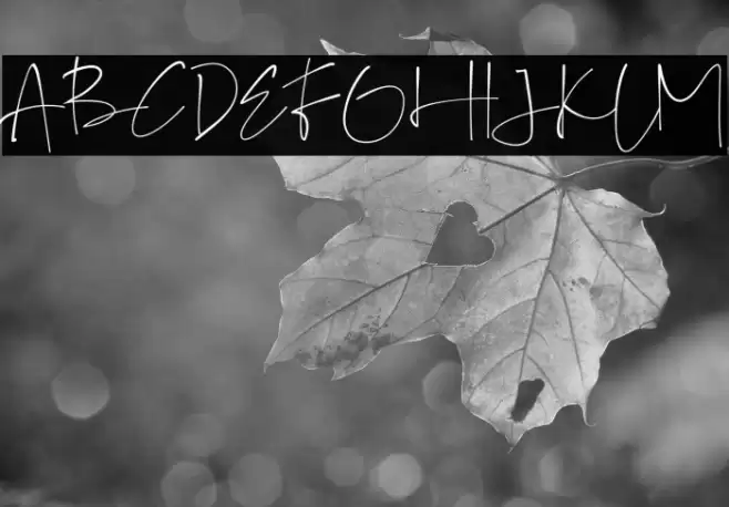 GalintaSignature-free Font examples