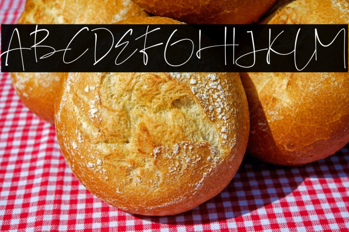 GalintaSignature-free Example 3