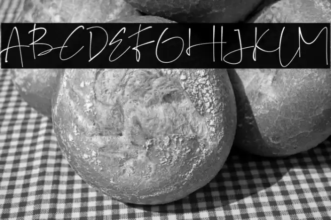 GalintaSignature-free Font examples