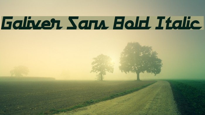 Galiver Sans Bold Italic Example 2