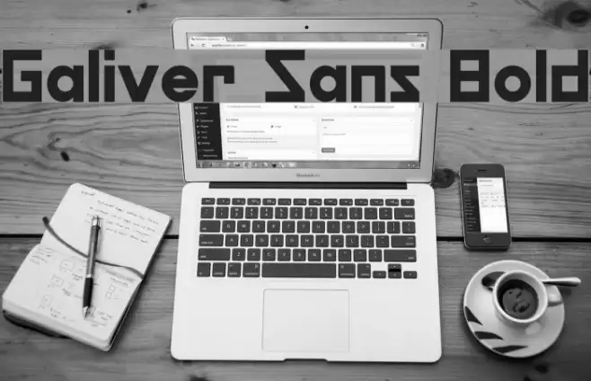 Galiver Sans Bold Font examples