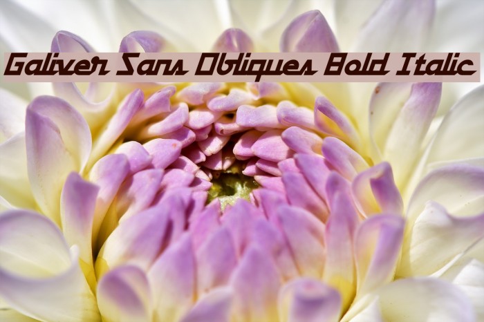 Galiver Sans Obliques Bold Italic Example 1