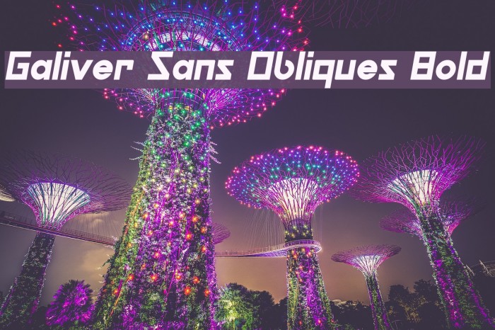 Galiver Sans Obliques Bold Example 2