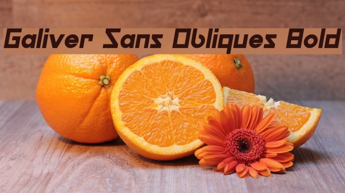 Galiver Sans Obliques Bold Example 3