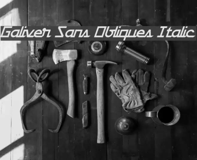 Galiver Sans Obliques Italic Font examples