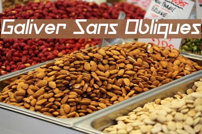 Galiver Sans Obliques Font examples