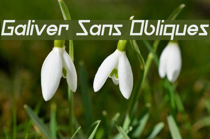 Galiver Sans Obliques Font examples