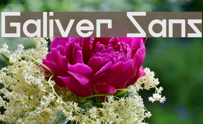 Galiver Sans Example 2
