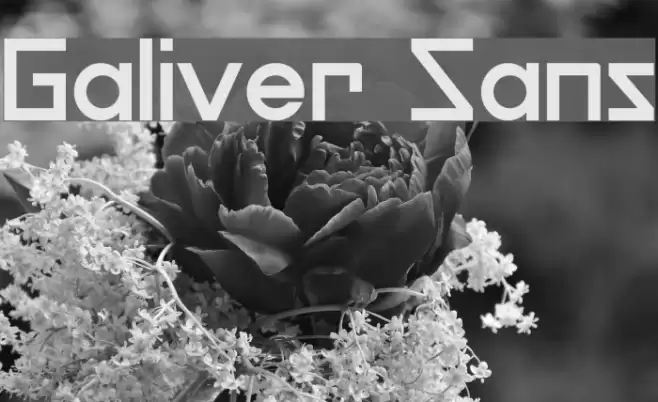 Galiver Sans Font examples