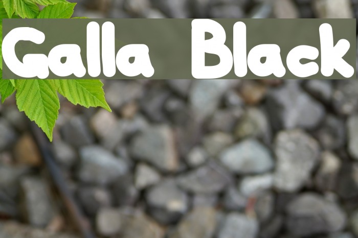 Galla Black Font examples
