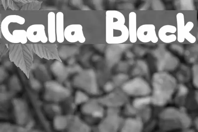 Galla Black フォント examples