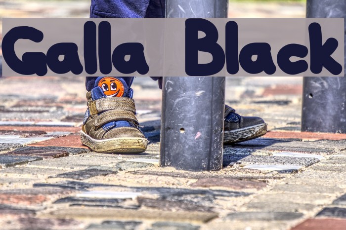 Galla Black Font examples