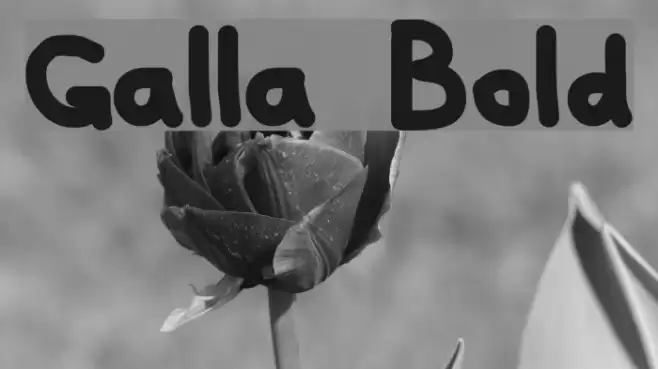 Galla Bold Polices examples