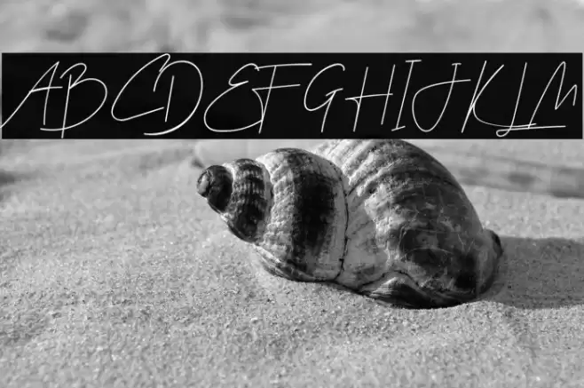 Galla Signature Font examples