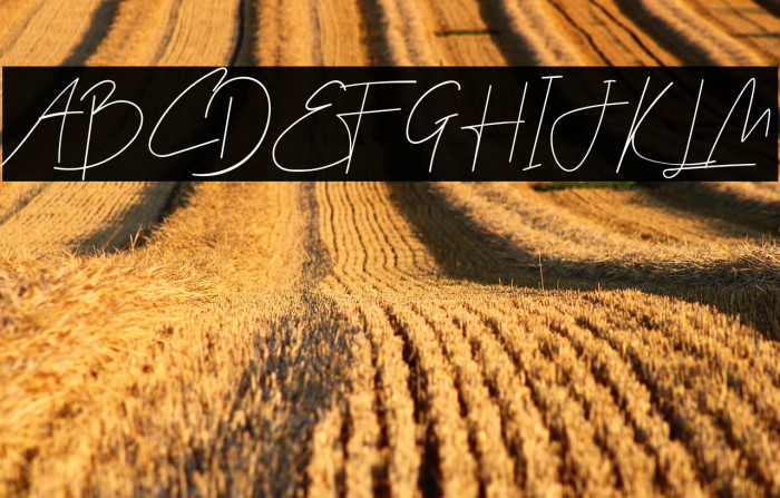 Galla Signature Example 3