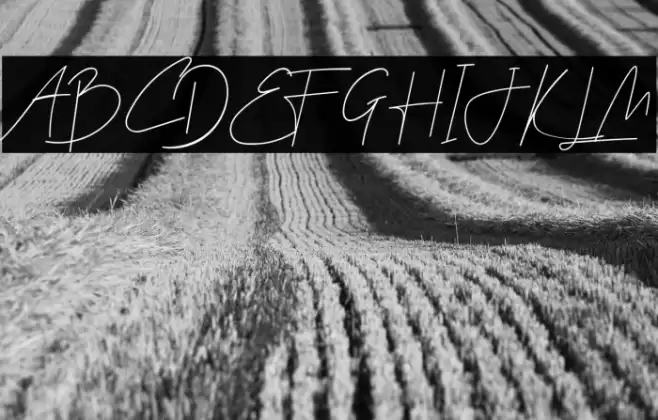 Galla Signature Font examples