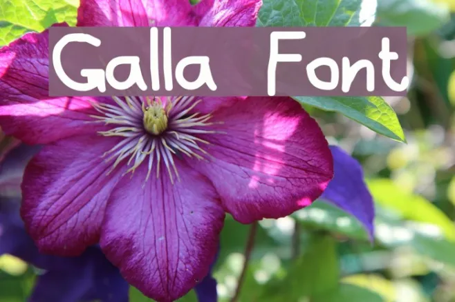 Galla Example 1