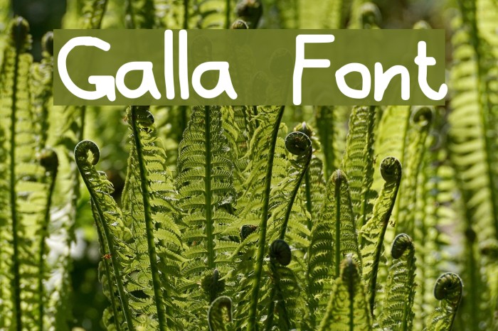 Galla Font examples