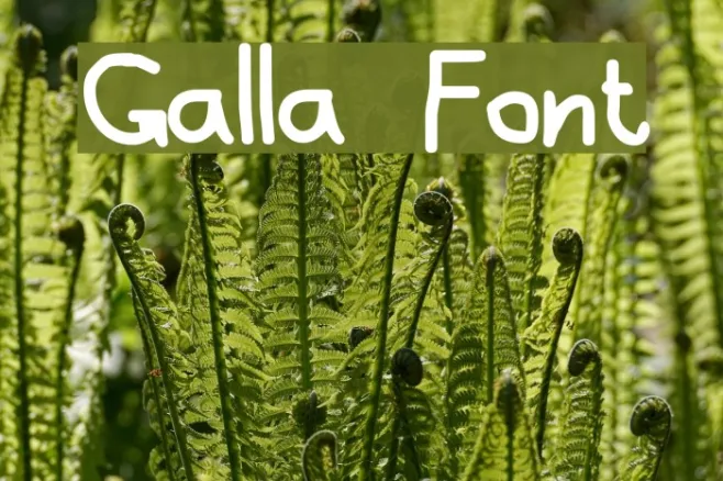 Galla Example 2