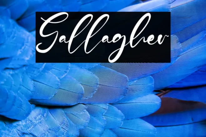 Gallagher Example 2
