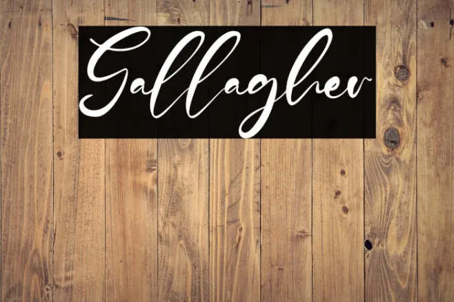 Gallagher Example 3
