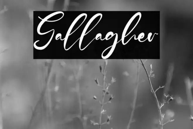 Gallagher Font examples