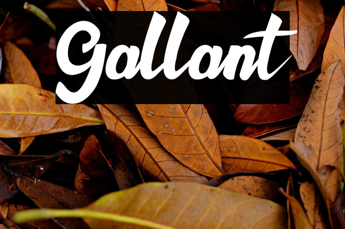 Gallant Example 3
