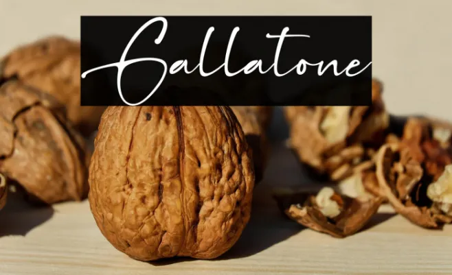 Gallatone Example 1