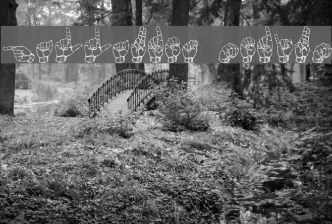 Gallaudet Medium Font examples