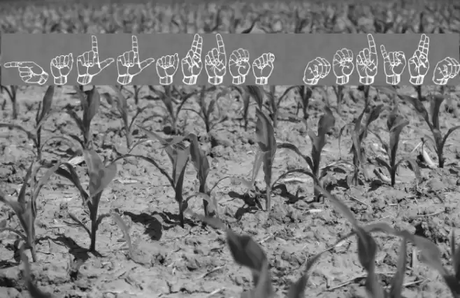 Gallaudet Medium Font examples