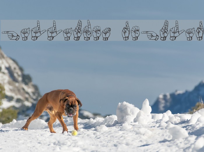 Gallaudet Regular Font examples