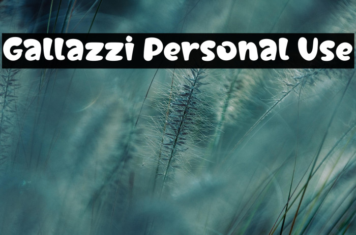 Gallazzi Personal Use Example 1