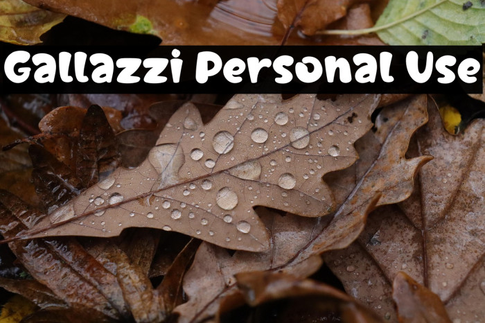 Gallazzi Personal Use Example 2