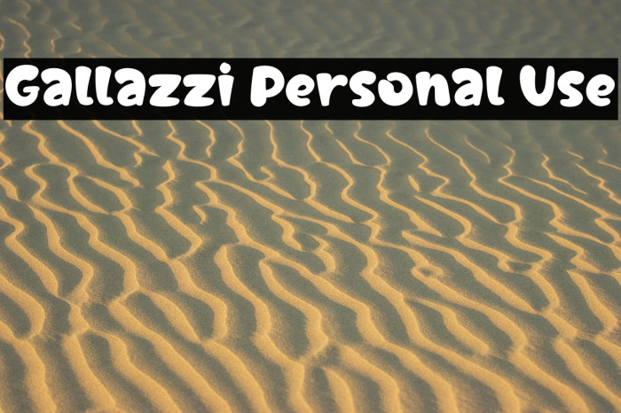 Gallazzi Personal Use Example 3