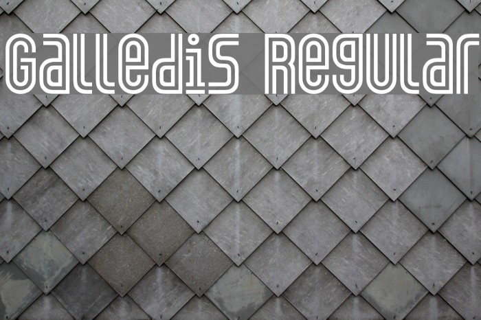 Galledis Regular Example 3