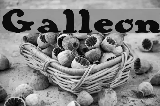 Galleon Font examples