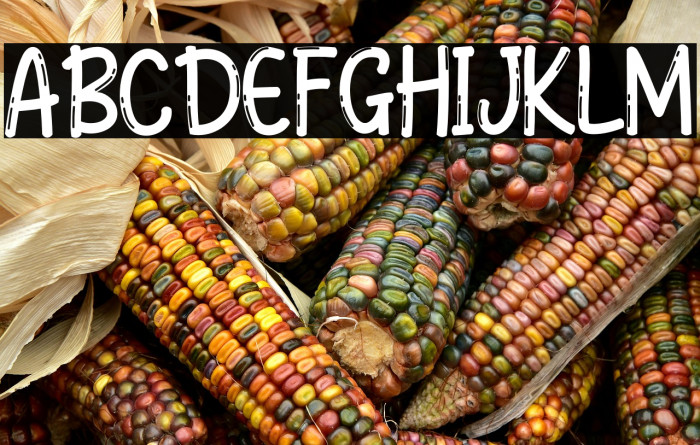 Galler Rebunk Blank Example 1