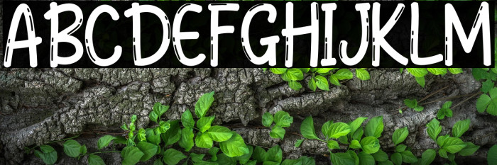 Galler Rebunk Blank Example 2